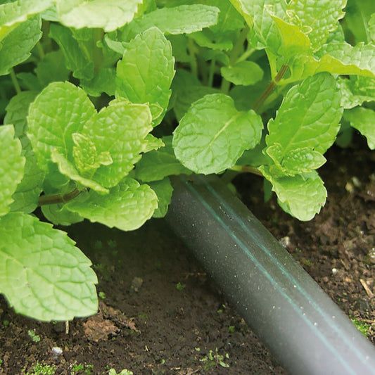 IRRITEC TAPE 5 MIL ROLLO 500 MTS